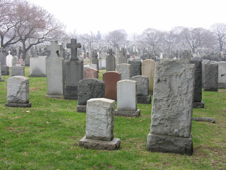 DSCN0498.JPG