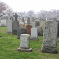 DSCN0498