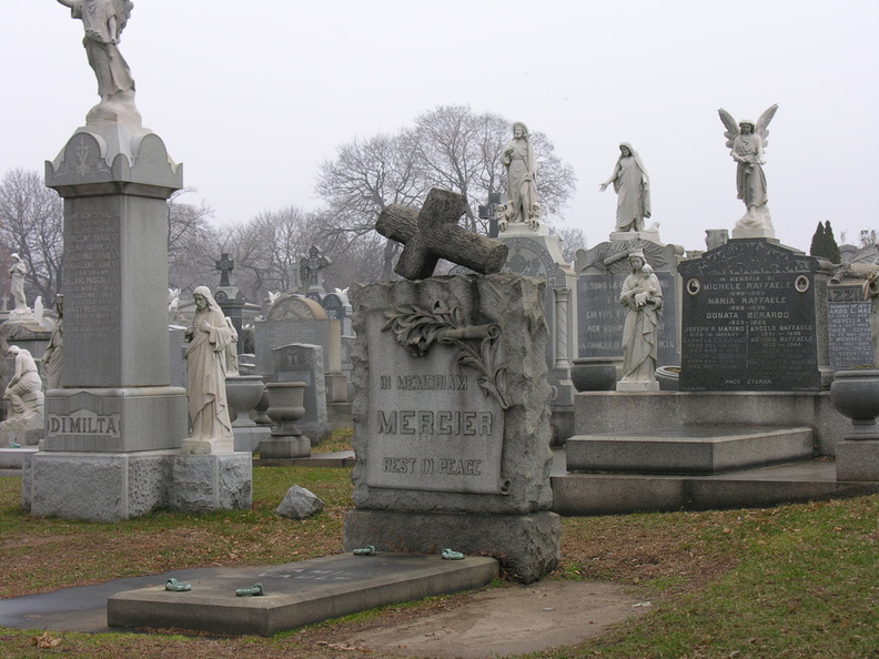 DSCN0508.JPG