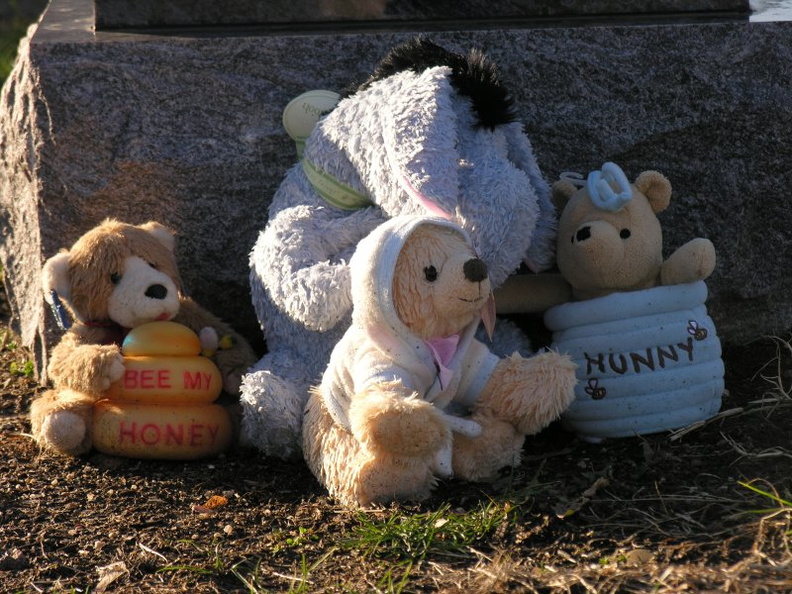 DSCN0542.JPG