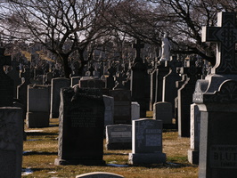 DSCN1495