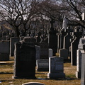 DSCN1495