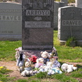 DSCN4309