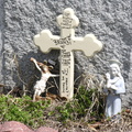 DSCN4329