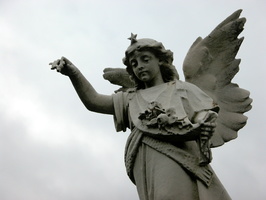 DSCN8675