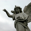 DSCN8675
