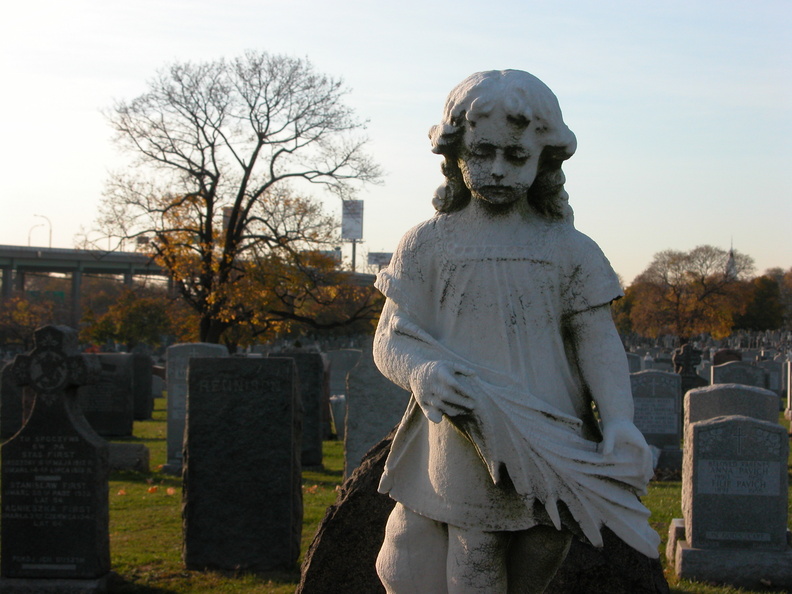 DSCN8955.jpg