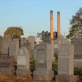 DSCN8977
