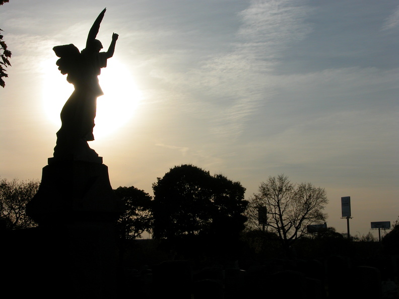 DSCN8985.jpg
