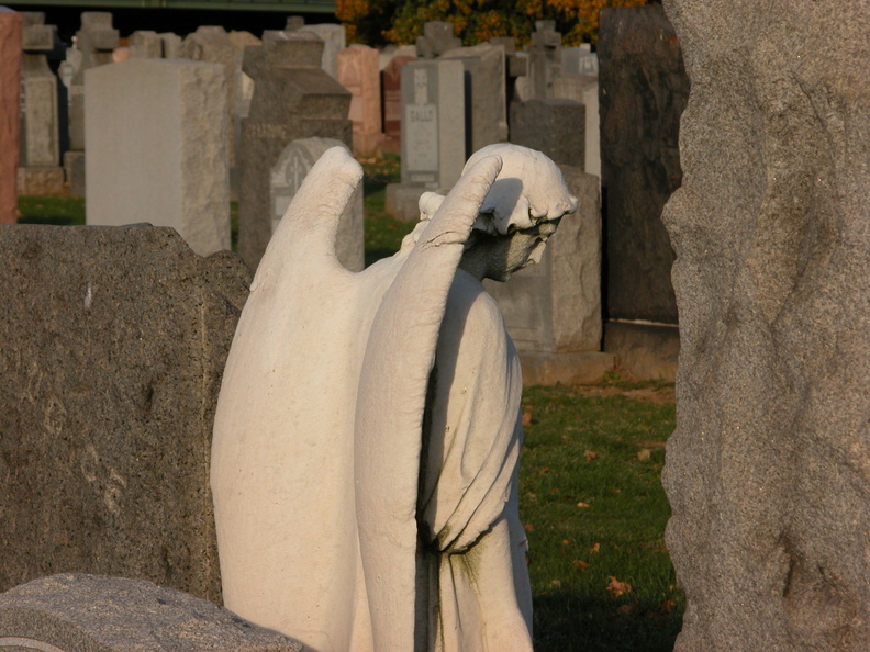 DSCN8993.jpg