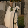 DSCN8993