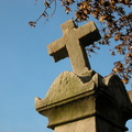DSCN9011.jpg