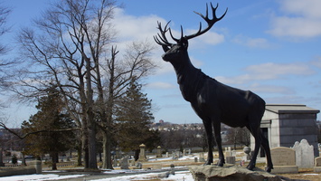 North Burial Ground. Providence, Rhode Island. March, 2013.