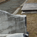 DSC06547.JPG