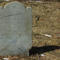 North Burial Ground. Providence, Rhode Island. March, 2013.