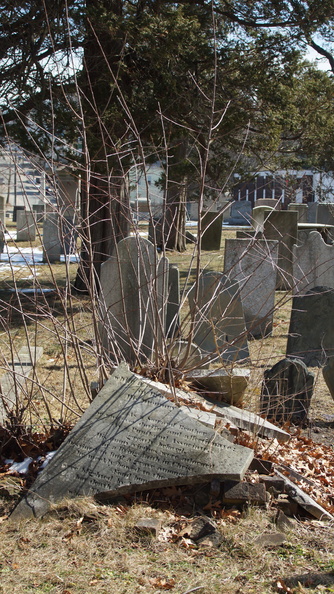 DSC06645.JPG