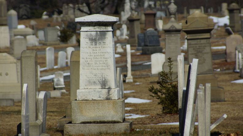 DSC06764.JPG