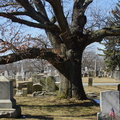 North Burial Ground. Providence, Rhode Island. March, 2013.