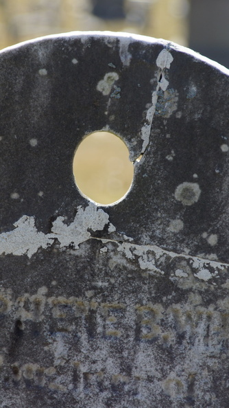DSC06814.JPG