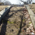 North Burial Ground. Providence, Rhode Island. March, 2013.