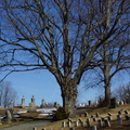 North Burial Ground. Providence, Rhode Island. March, 2013.