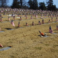 North Burial Ground. Providence, Rhode Island. March, 2013.