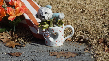 North Burial Ground. Providence, Rhode Island. March, 2013.