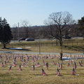 North Burial Ground. Providence, Rhode Island. March, 2013.