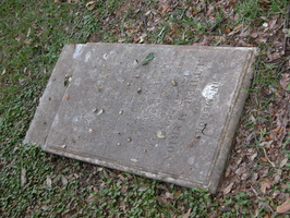 Luther Marion