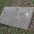 Luther Marion