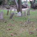 DSCN5182.JPG