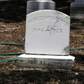Frances M. Davidson 1846-1925.