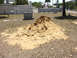 Pinewood Cemetery, Daytona Beach