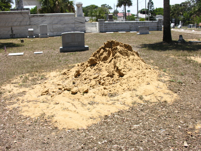 DSCN6246.JPG