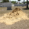 Pinewood Cemetery, Daytona Beach