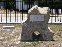Bailey
