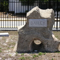 Bailey