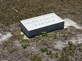 Nelson N. Bailey. 1848 - 1916.