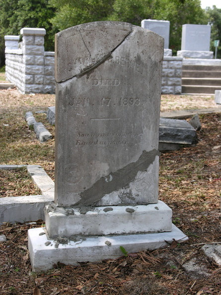 DSCN6358.JPG