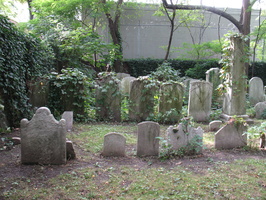 IMG 4067