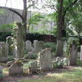 IMG 4069