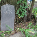 IMG 4072
