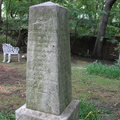 IMG 4076
