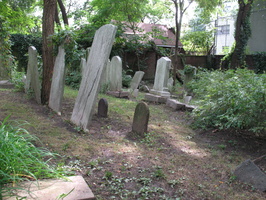 IMG 4080