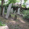 IMG 4080