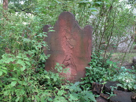 IMG 4084
