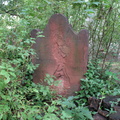 IMG 4084