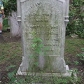 IMG 4087