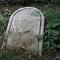 IMG 4101