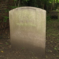 IMG 4151